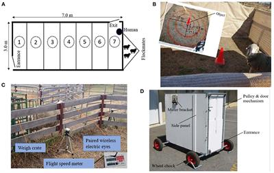 Using Real-Time Kinematic (RTK) Devices to Show a Limited Effect of Boldness and Fearfulness on Social Proximity in Sheep Grazing at Pasture